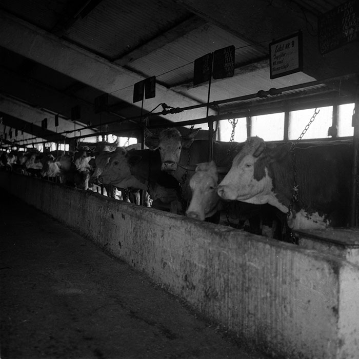 minerva_1988_agrar_c3r2_008