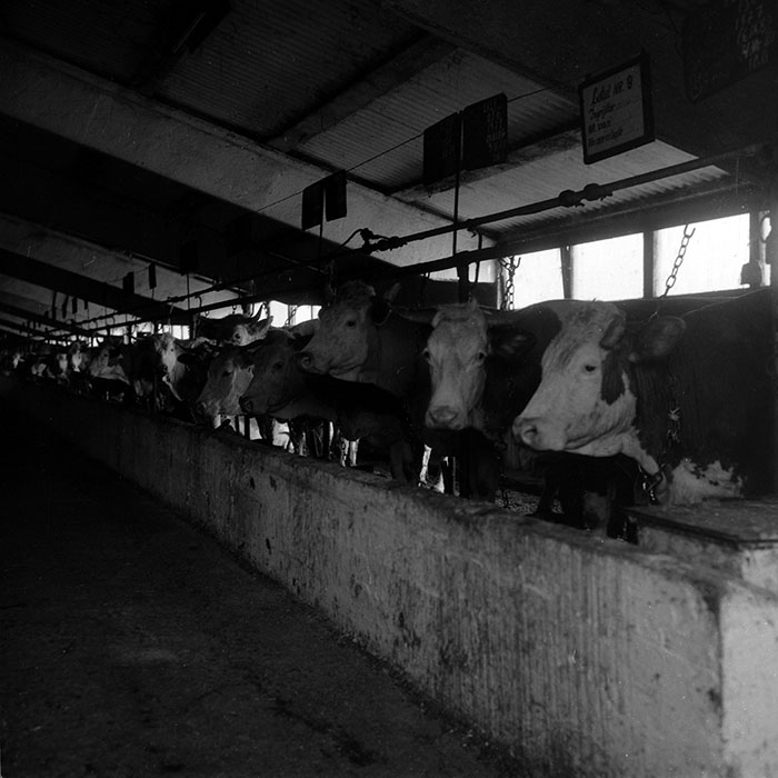 minerva_1988_agrar_c3r2_009