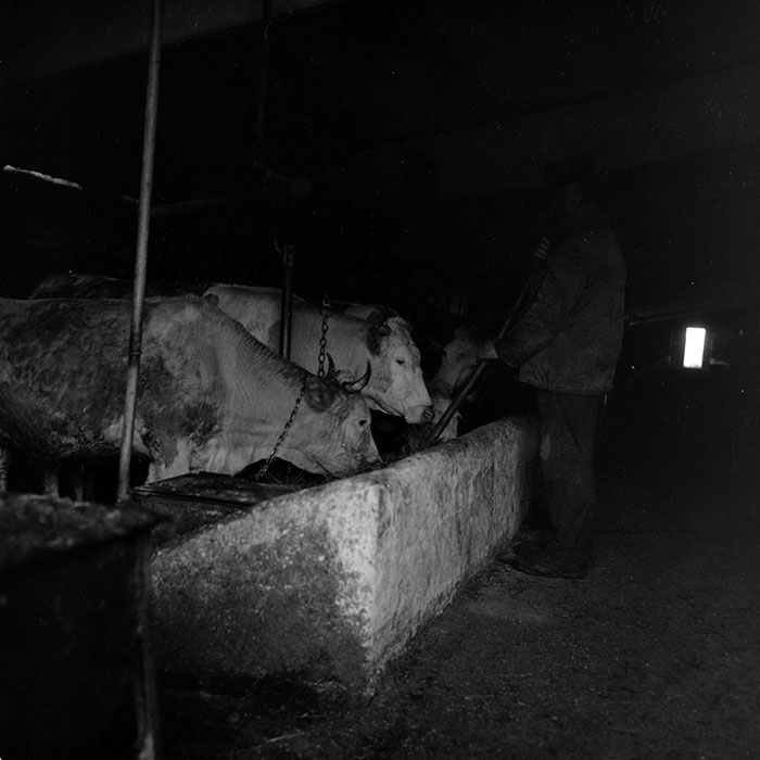 minerva_1988_agrar_c3r2_010