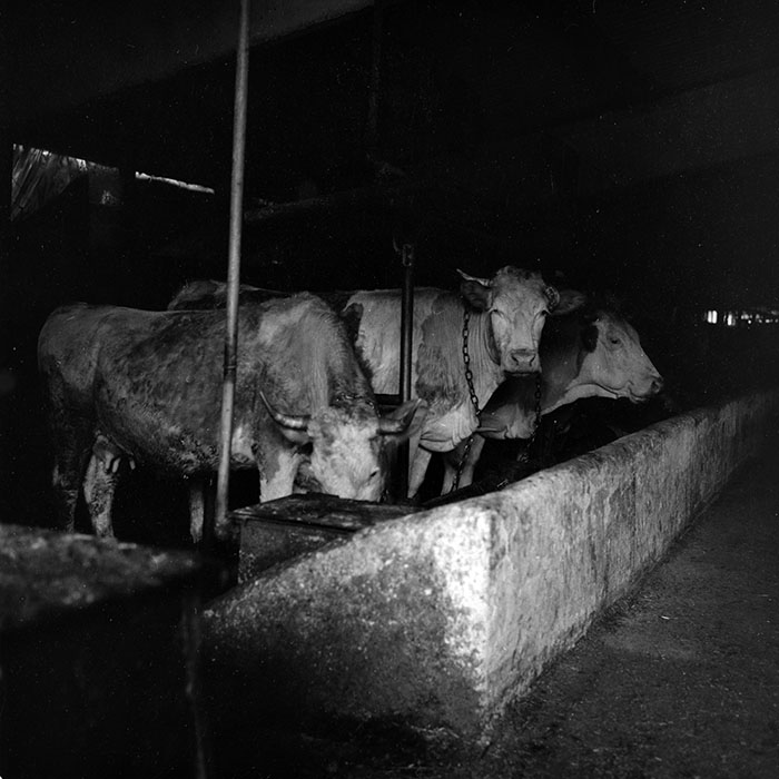 minerva_1988_agrar_c3r2_011