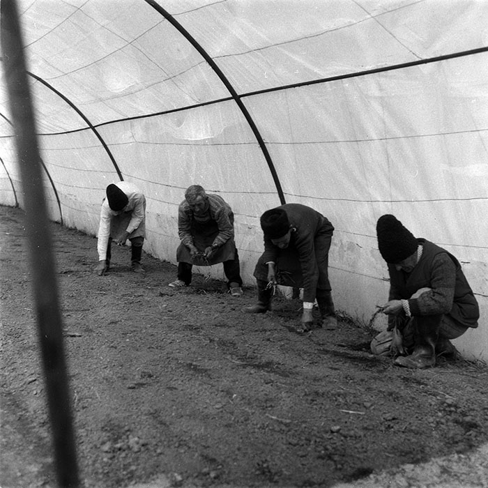 minerva_1988_agrar_c3r3_001