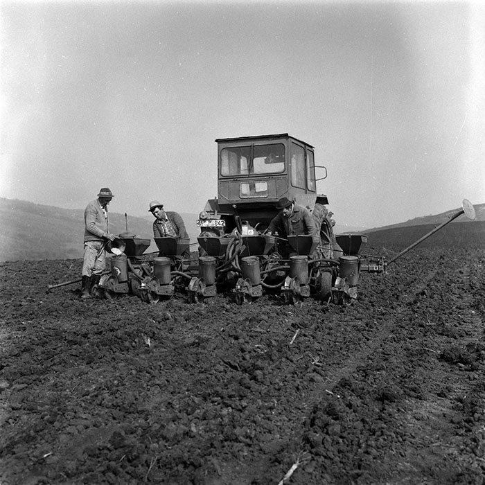 minerva_1988_agrar_c3r4_001