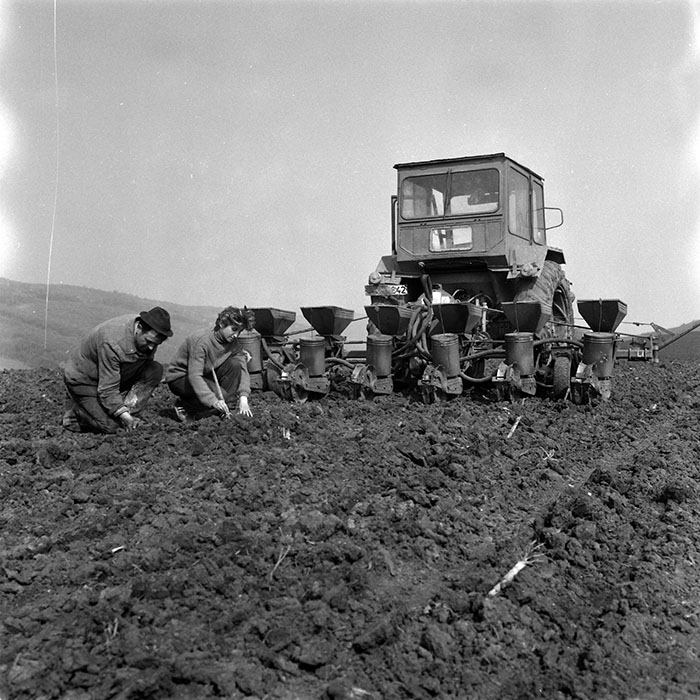 minerva_1988_agrar_c3r4_002