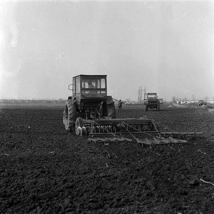 minerva_1988_agrar_c4r1_001