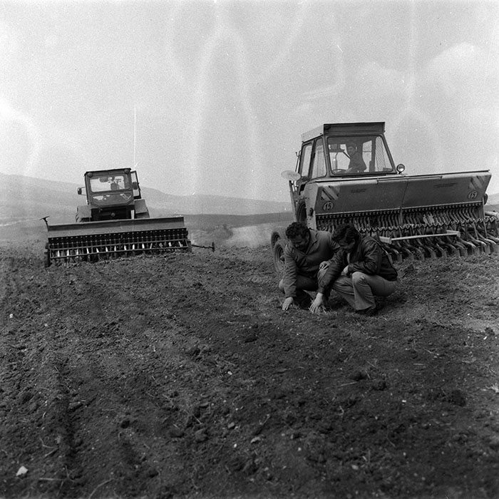 minerva_1988_agrar_c4r1_004