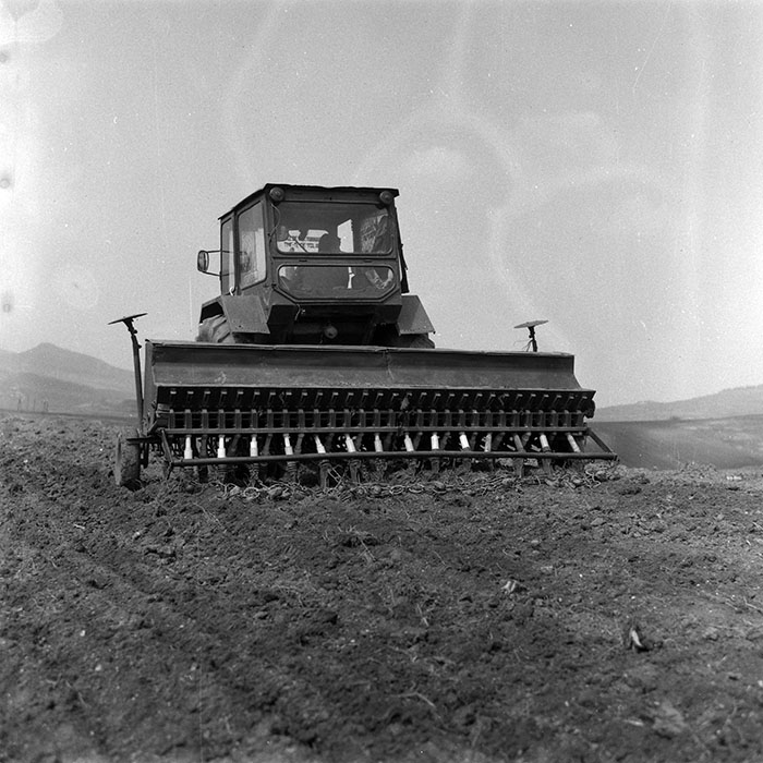 minerva_1988_agrar_c4r1_009