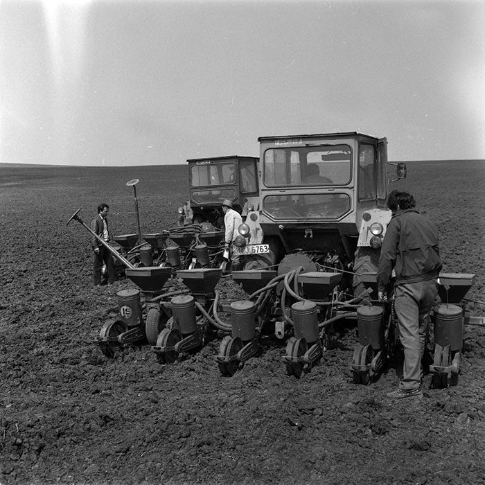 minerva_1988_agrar_c4r1_012