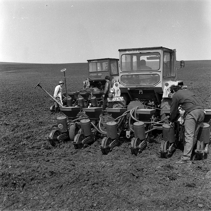 minerva_1988_agrar_c4r1_013