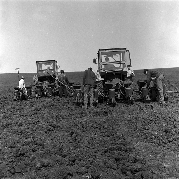 minerva_1988_agrar_c4r1_014