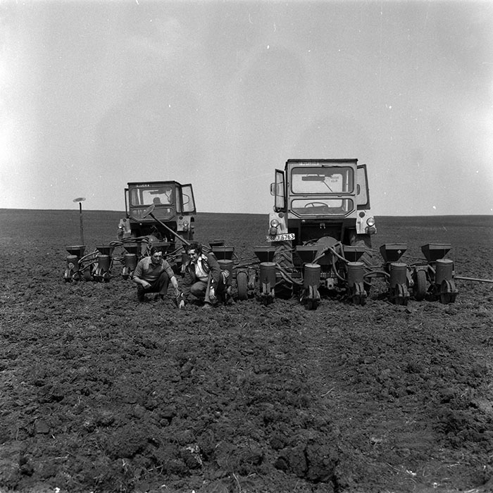 minerva_1988_agrar_c4r1_015