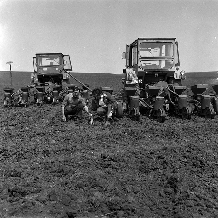 minerva_1988_agrar_c4r1_016