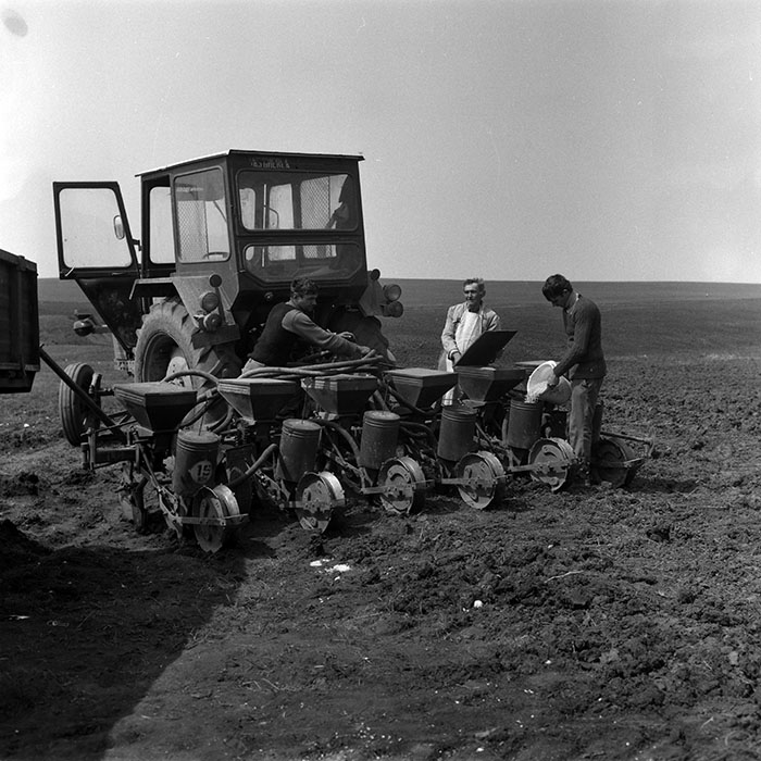 minerva_1988_agrar_c4r1_017