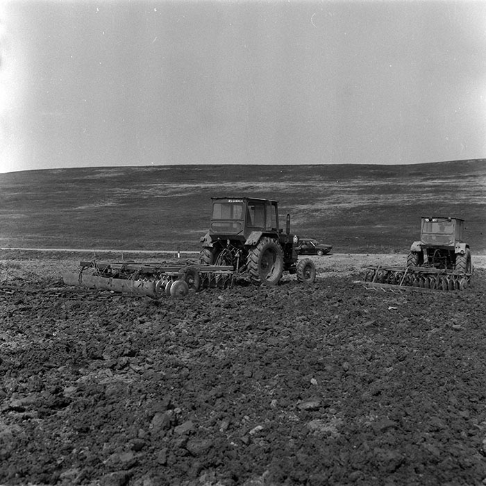 minerva_1988_agrar_c4r1_018