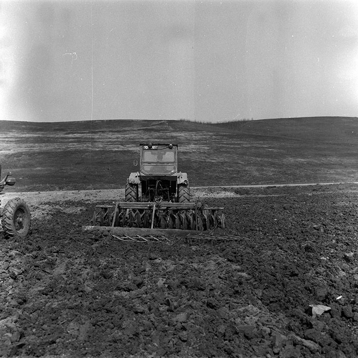 minerva_1988_agrar_c4r1_020