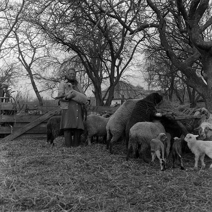 minerva_1988_agrar_c4r2_001