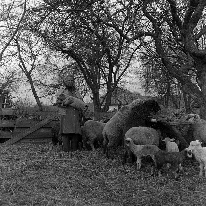 minerva_1988_agrar_c4r2_002