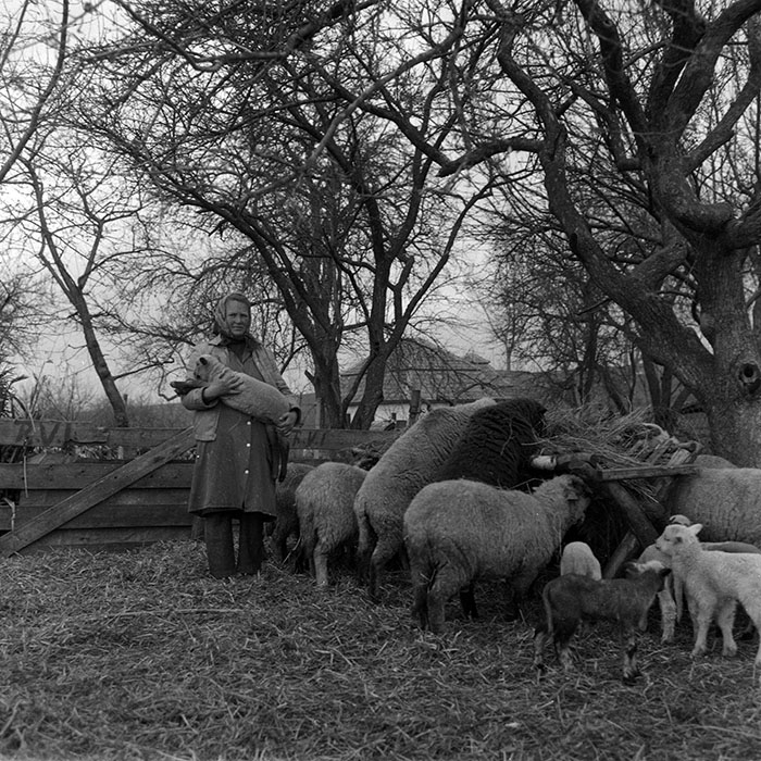 minerva_1988_agrar_c4r2_003