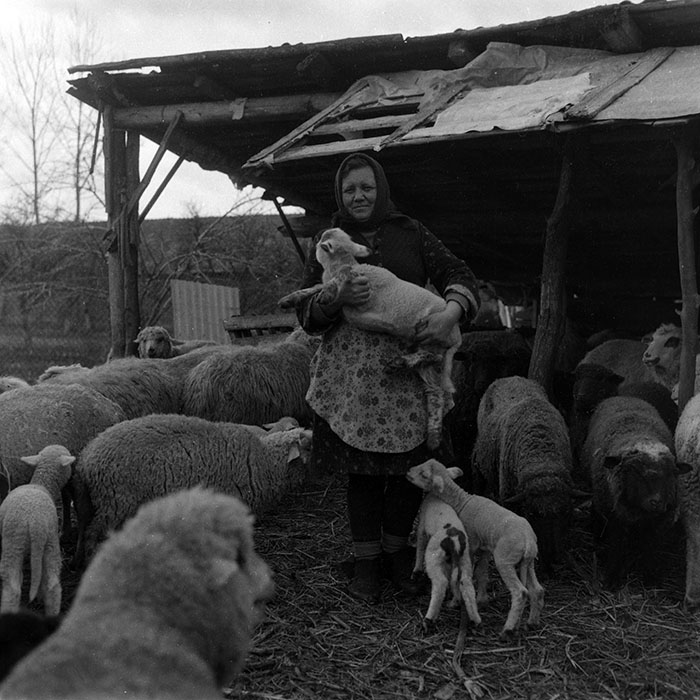 minerva_1988_agrar_c4r2_004