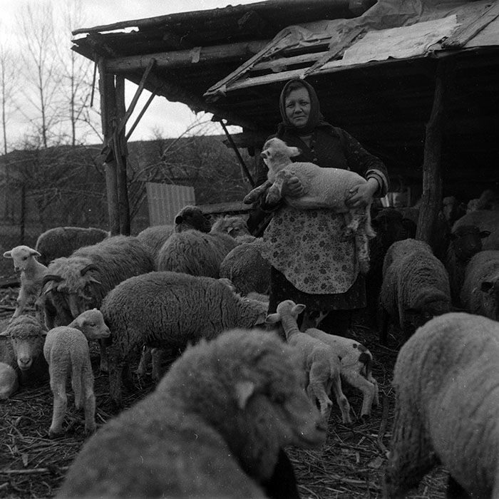 minerva_1988_agrar_c4r2_005