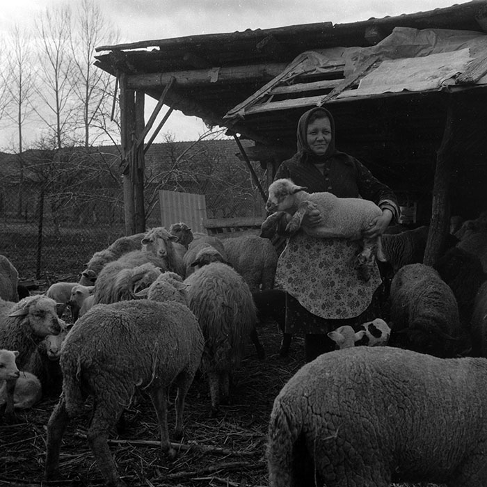 minerva_1988_agrar_c4r2_006