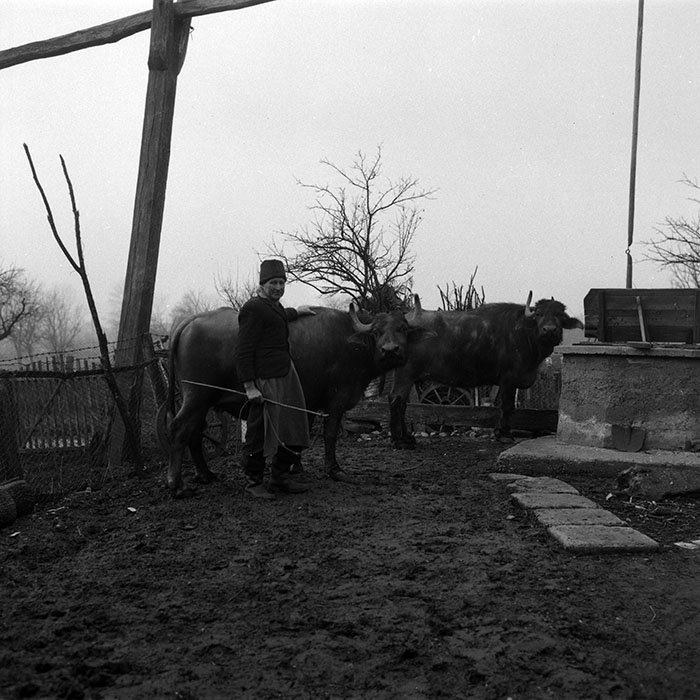 minerva_1988_agrar_c4r2_008