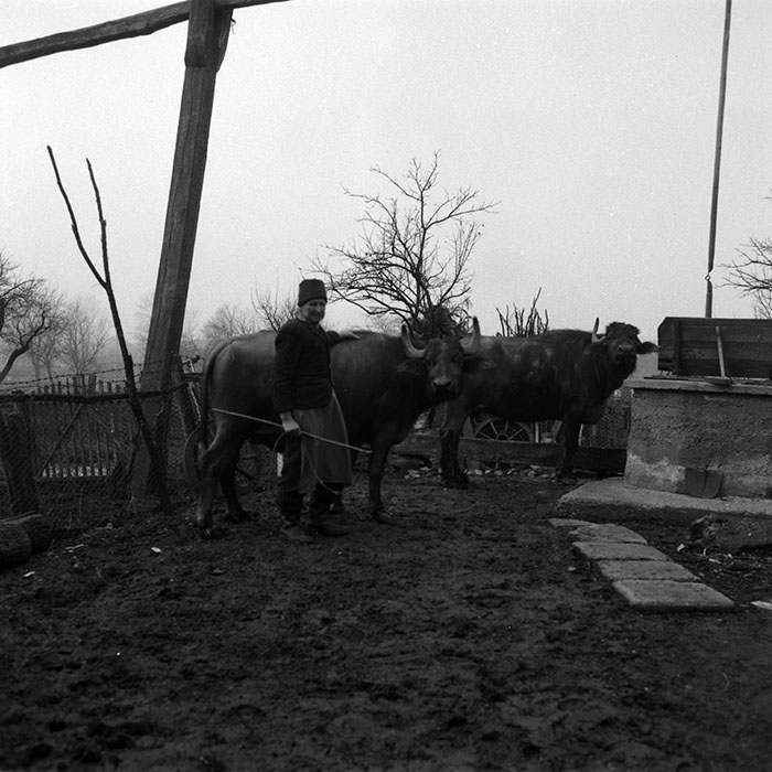 minerva_1988_agrar_c4r2_009