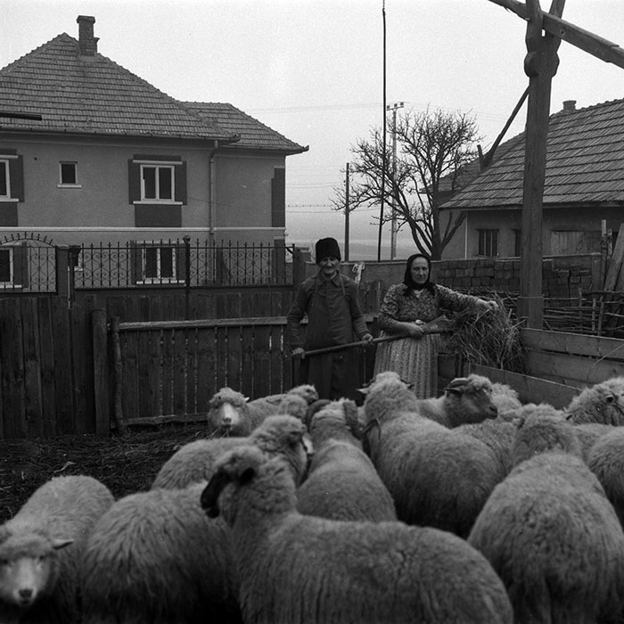 minerva_1988_agrar_c4r2_011