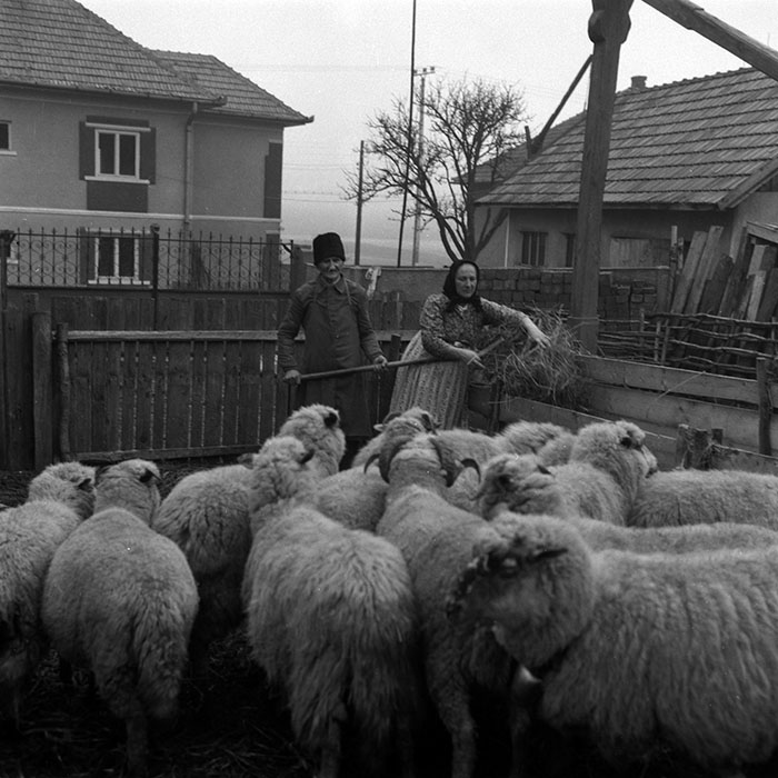 minerva_1988_agrar_c4r2_012