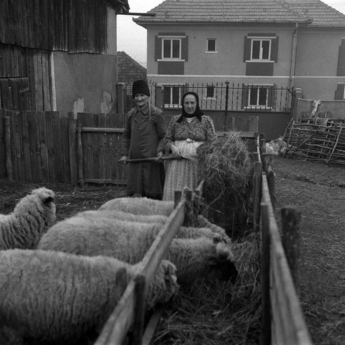 minerva_1988_agrar_c4r2_013