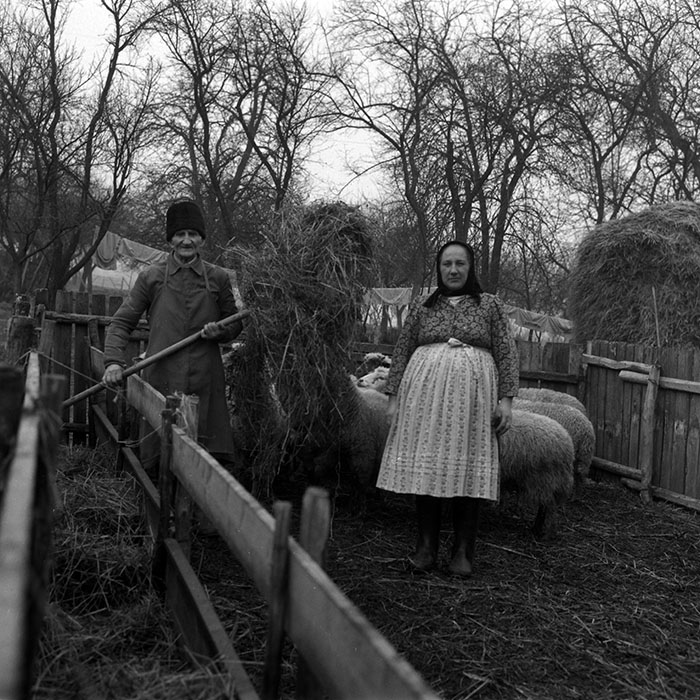 minerva_1988_agrar_c4r2_015