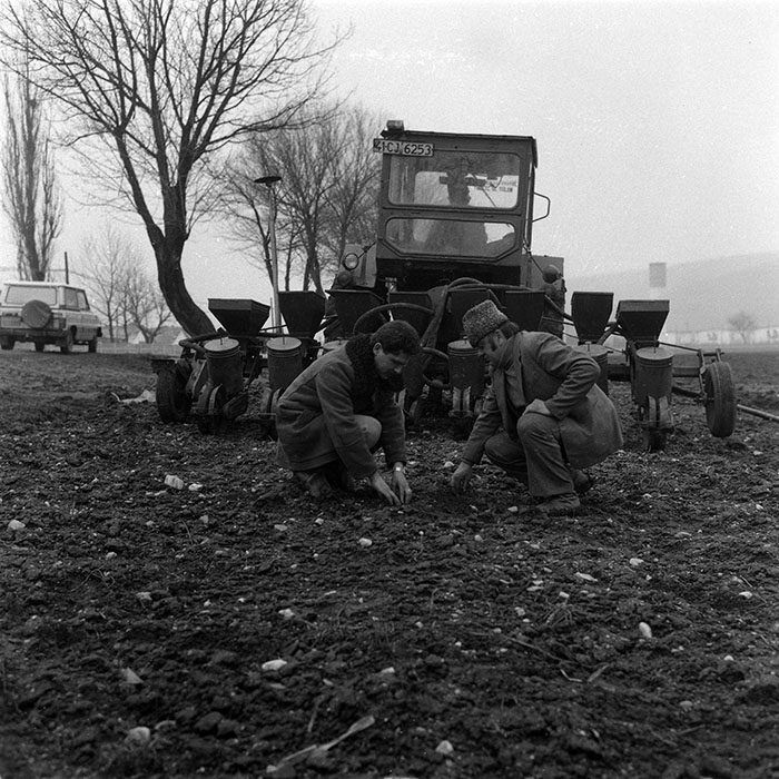 minerva_1988_agrar_c4r3_001