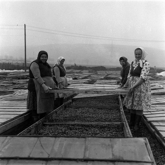 minerva_1988_agrar_c4r3_006