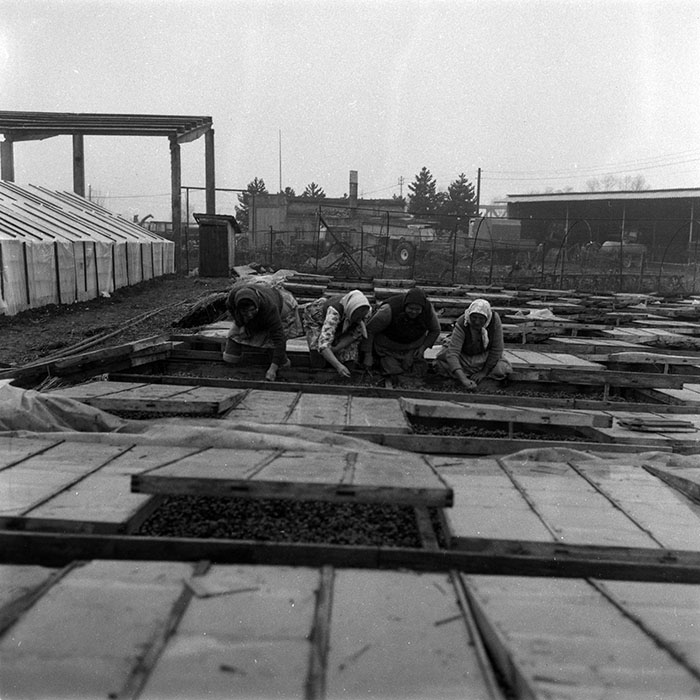 minerva_1988_agrar_c4r3_008