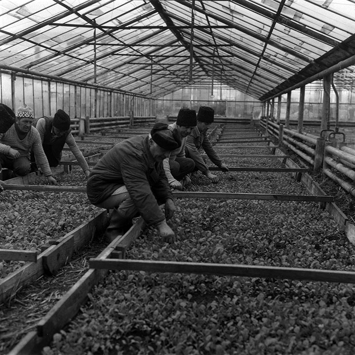 minerva_1988_agrar_c4r3_011