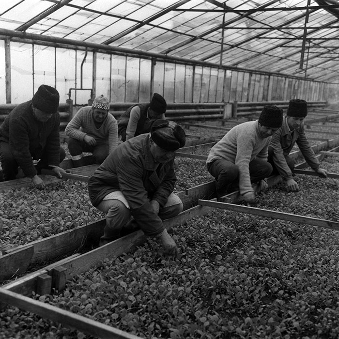 minerva_1988_agrar_c4r3_012