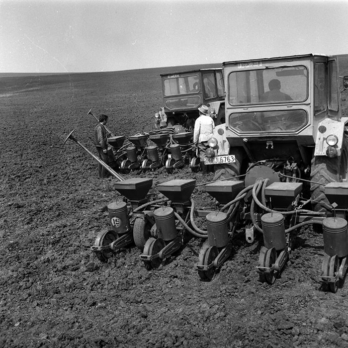 minerva_1988_agrar_c4r3_017