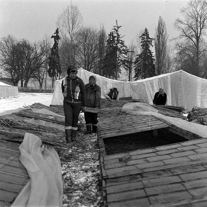 minerva_1988_agrar_c4r3_019