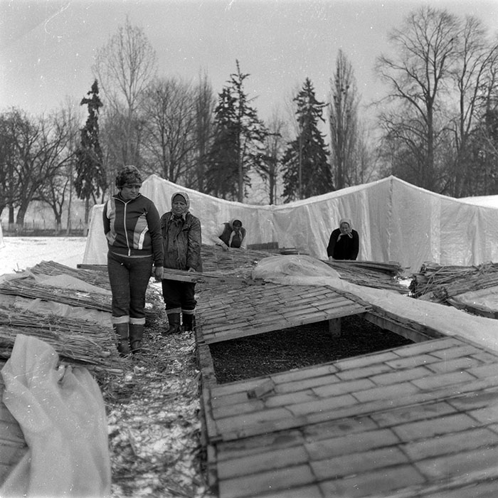 minerva_1988_agrar_c4r3_020