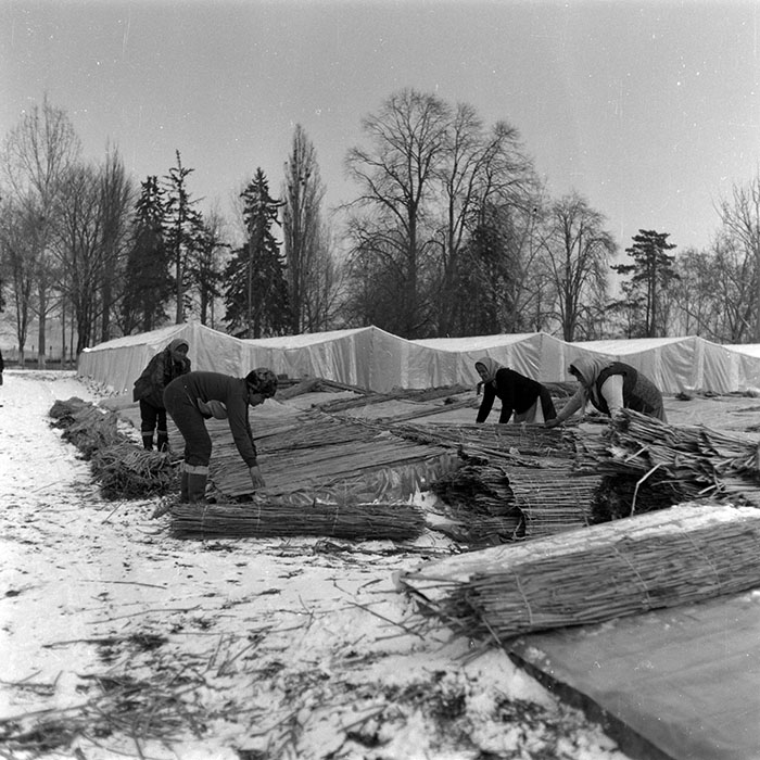 minerva_1988_agrar_c4r3_022