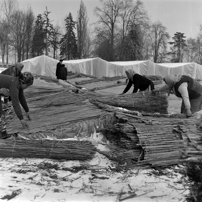 minerva_1988_agrar_c4r3_023