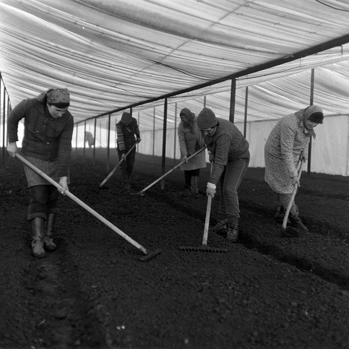 minerva_1988_agrar_c4r3_024