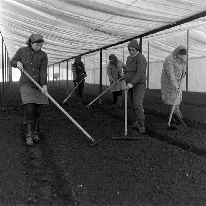 minerva_1988_agrar_c4r3_025