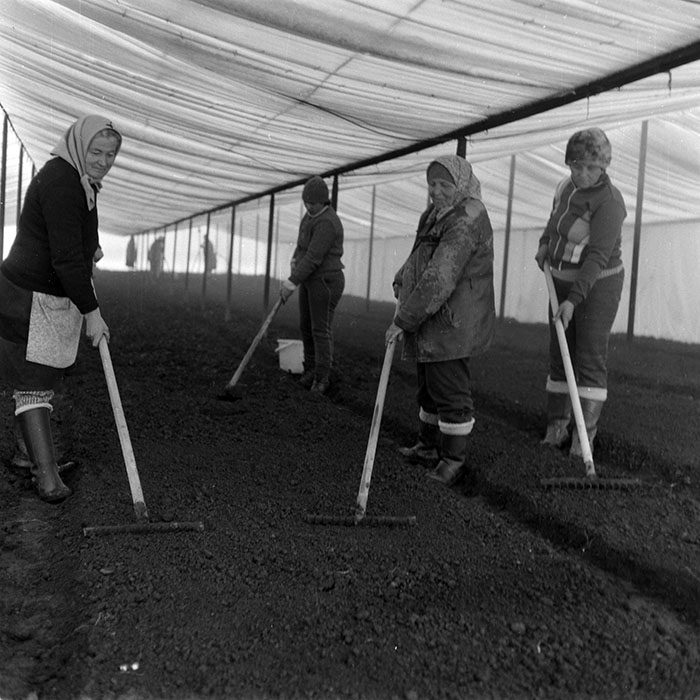 minerva_1988_agrar_c4r3_026