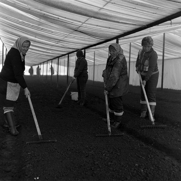 minerva_1988_agrar_c4r3_027