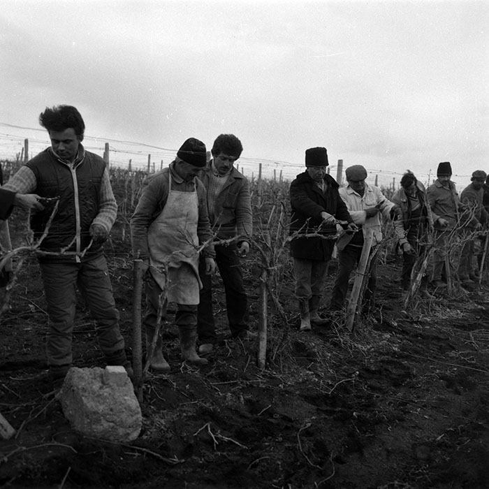 minerva_1988_agrar_c4r4_002