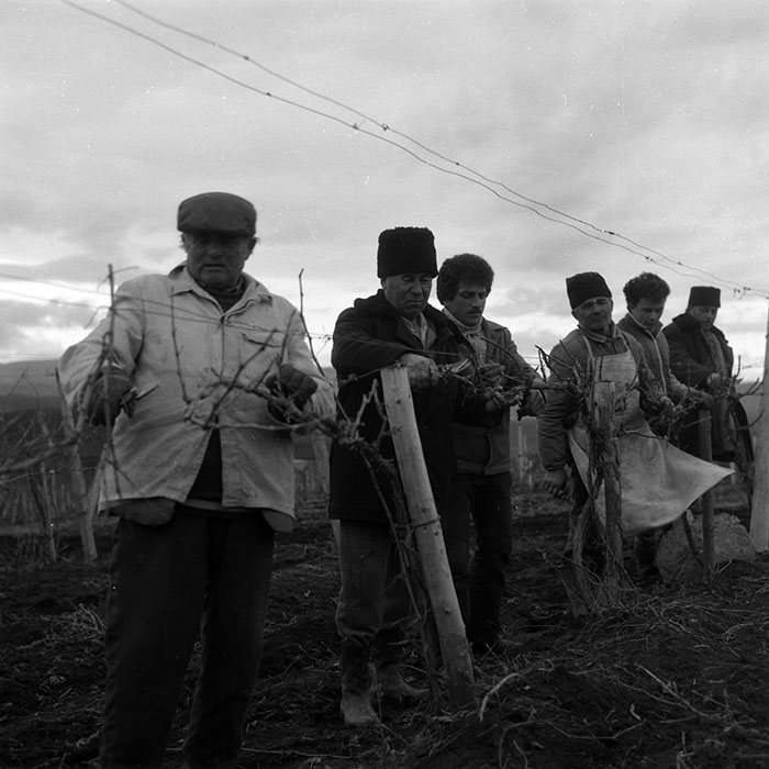 minerva_1988_agrar_c4r4_003