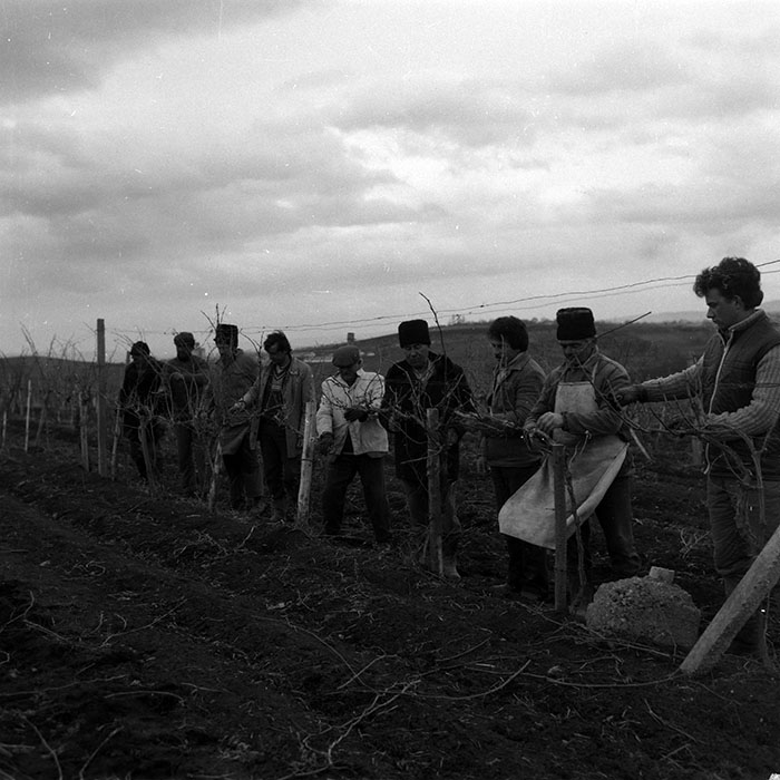 minerva_1988_agrar_c4r4_005