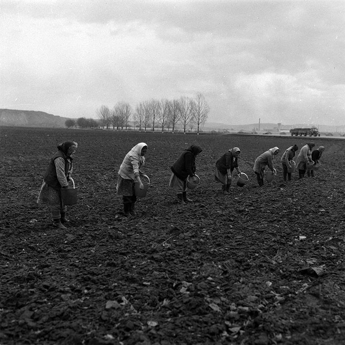 minerva_1988_agrar_c4r5_002