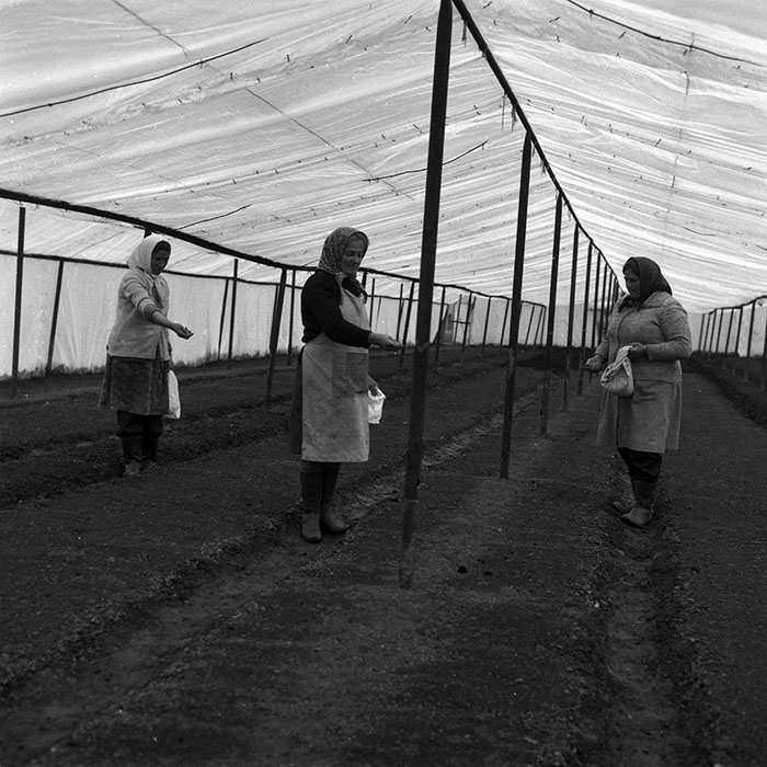 minerva_1988_agrar_c4r5_004