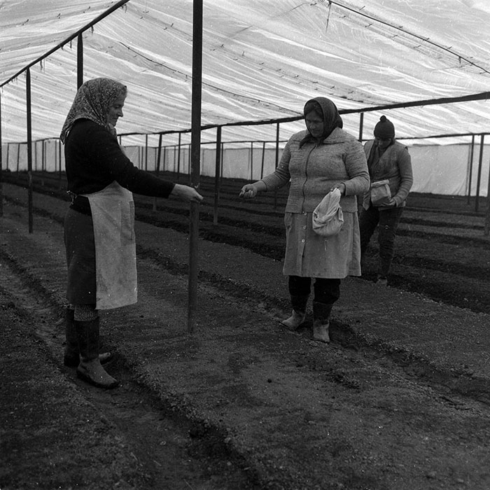 minerva_1988_agrar_c4r5_005